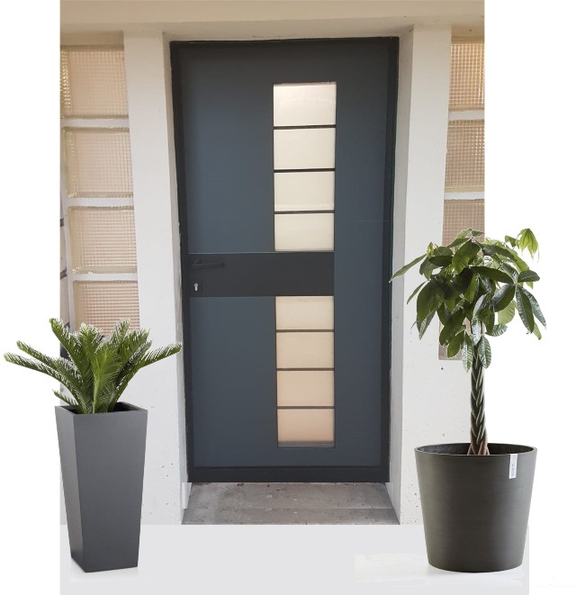 Porte d’entrée contemporaine PROXIRÉNOV
